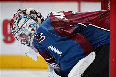 Semyon Varlamov Poster 3557831