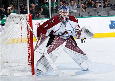 Semyon Varlamov Poster 3557834