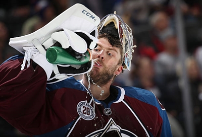 Semyon Varlamov Poster 3557836