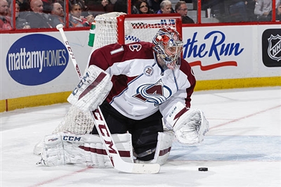 Semyon Varlamov Poster 3557838