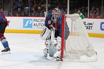 Semyon Varlamov Poster 3557839