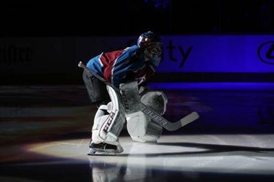 Semyon Varlamov Poster 3557840