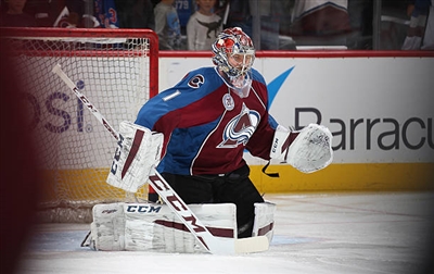 Semyon Varlamov Poster 3557845