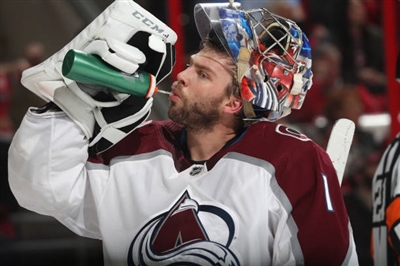 Semyon Varlamov Poster 3557847