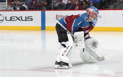 Semyon Varlamov Poster 3557849