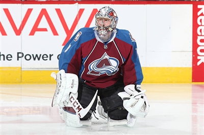 Semyon Varlamov Poster 3557850