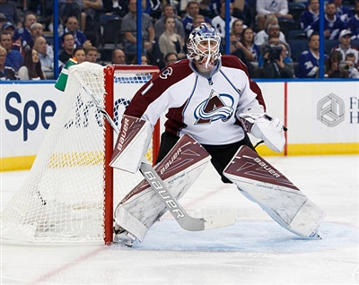 Semyon Varlamov Poster 3557854