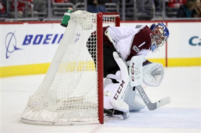 Semyon Varlamov Poster 3557855