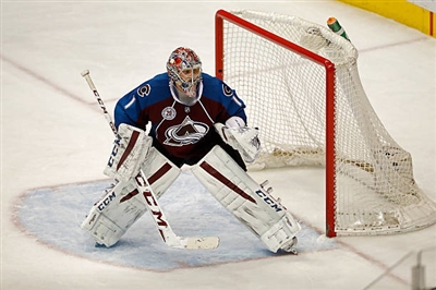 Semyon Varlamov Poster 3557856