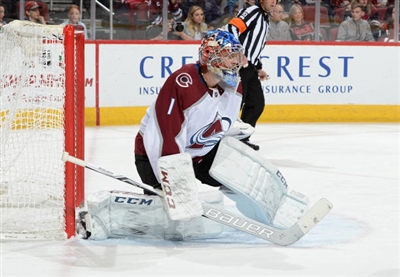Semyon Varlamov Poster 3557857