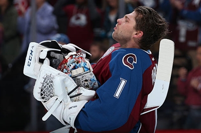 Semyon Varlamov Poster 3557858