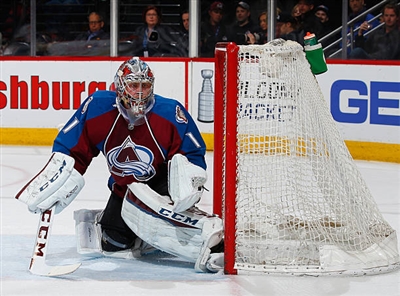 Semyon Varlamov Poster 3557860