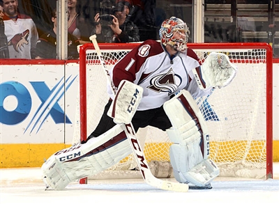 Semyon Varlamov Poster 3557861