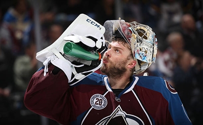 Semyon Varlamov Poster 3557866
