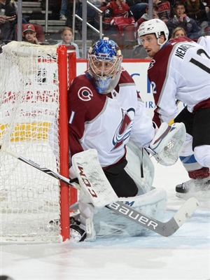 Semyon Varlamov Poster 3557867