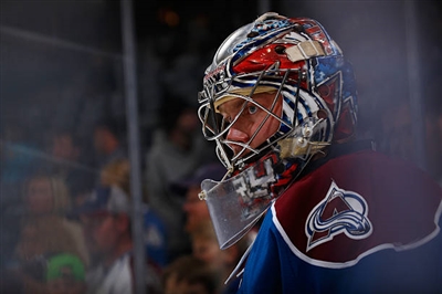 Semyon Varlamov Poster 3557868