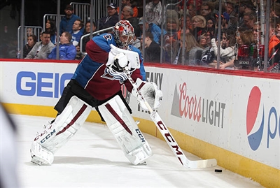 Semyon Varlamov Poster 3557870