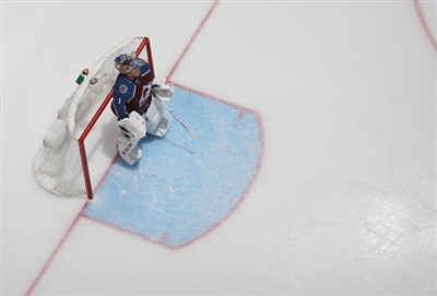 Semyon Varlamov Poster 3557873