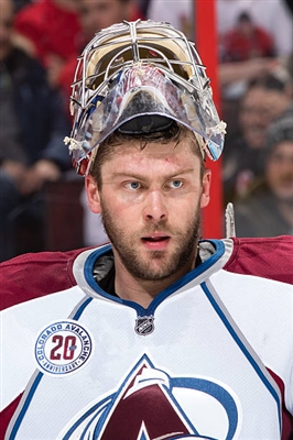 Semyon Varlamov Poster 3557874