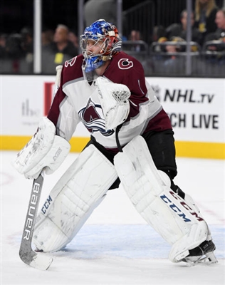 Semyon Varlamov Poster 3557875
