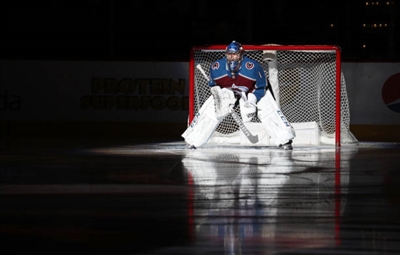Semyon Varlamov Poster 3557876