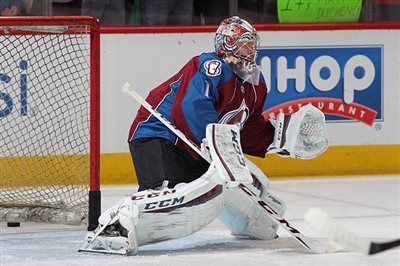 Semyon Varlamov Poster 3557877