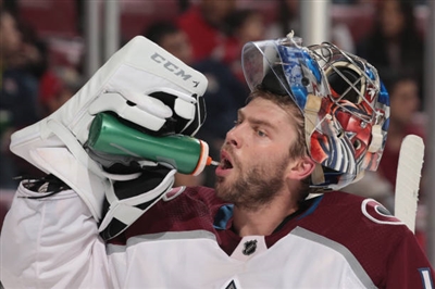 Semyon Varlamov Poster 3557879