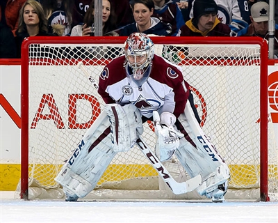 Semyon Varlamov Poster 3557880