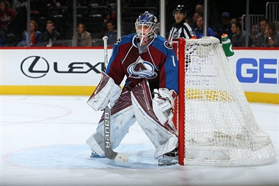 Semyon Varlamov Poster 3557882