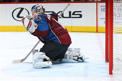 Semyon Varlamov Poster 3557884