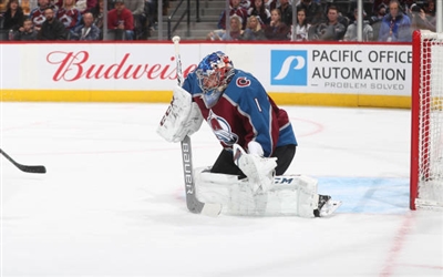 Semyon Varlamov Poster 3557885