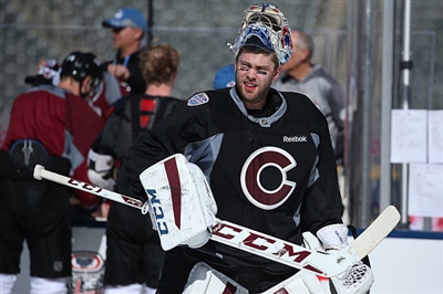 Semyon Varlamov Poster 3557887
