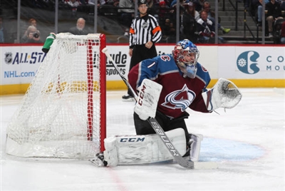 Semyon Varlamov Poster 3557889
