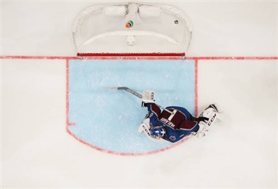Semyon Varlamov Poster 3557890