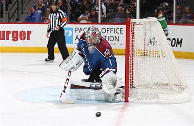 Semyon Varlamov Poster 3557891