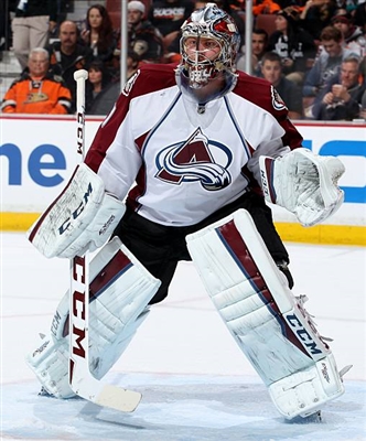 Semyon Varlamov Poster 3557892