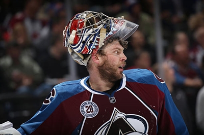 Semyon Varlamov Poster 3557893