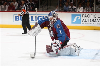 Semyon Varlamov Poster 3557894