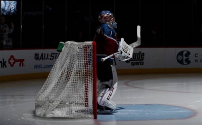 Semyon Varlamov Poster 3557895