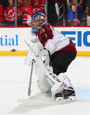 Semyon Varlamov Poster 3557896