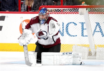 Semyon Varlamov Poster 3557897
