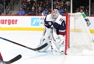 Semyon Varlamov Poster 3557899