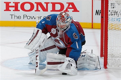 Semyon Varlamov Poster 3557900