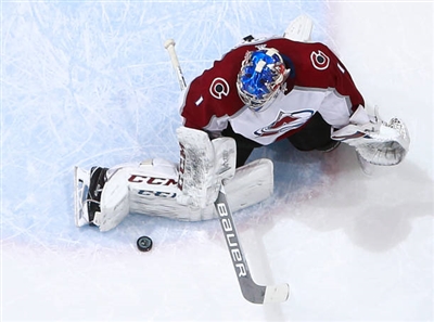 Semyon Varlamov Poster 3557901