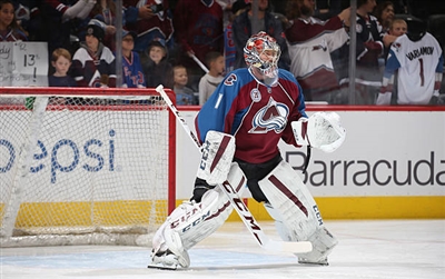 Semyon Varlamov Poster 3557904