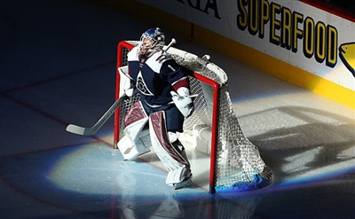 Semyon Varlamov Poster 3557905