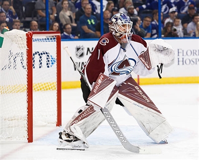 Semyon Varlamov Poster 3557906