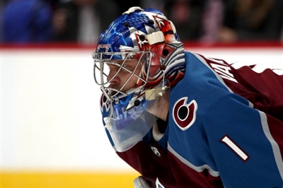 Semyon Varlamov Poster 3557908