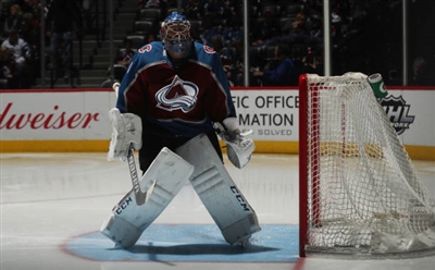 Semyon Varlamov Poster 3557910