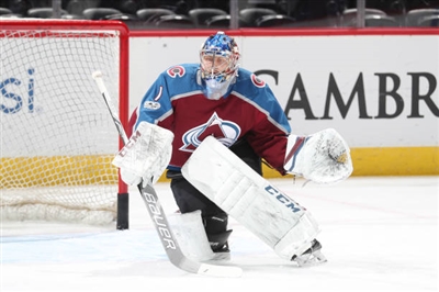 Semyon Varlamov Poster 3557911